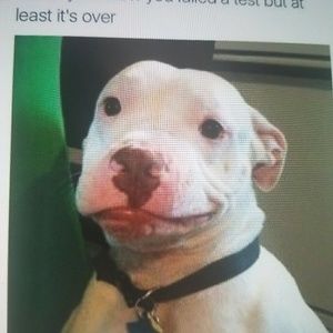 Meet your Posher, Al